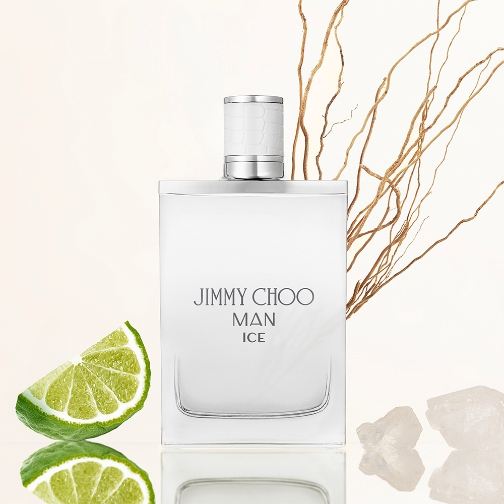 Man Ice Eau De Toilette • 100ml