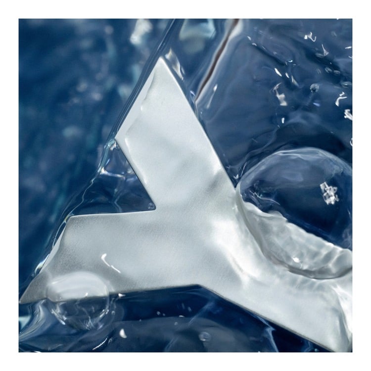 Y Eau De Toilette • 60ml (Original)