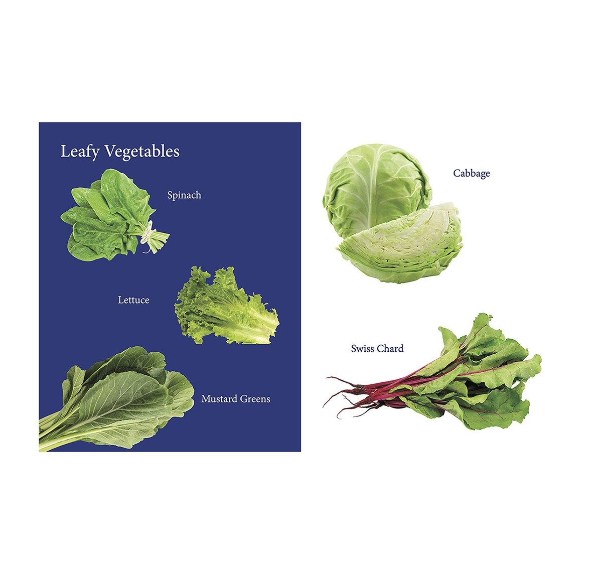 My First Book Of Vegetables