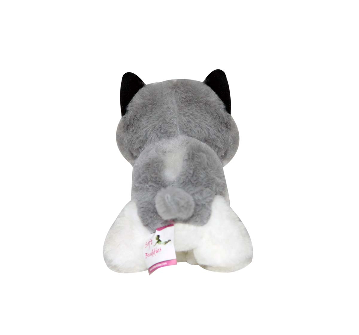 Soft Buddies | Softbuddies Big Eye Husky Dog 30 Cm Quirky Soft Toys for Kids age 3Y+ 30 Cm  3