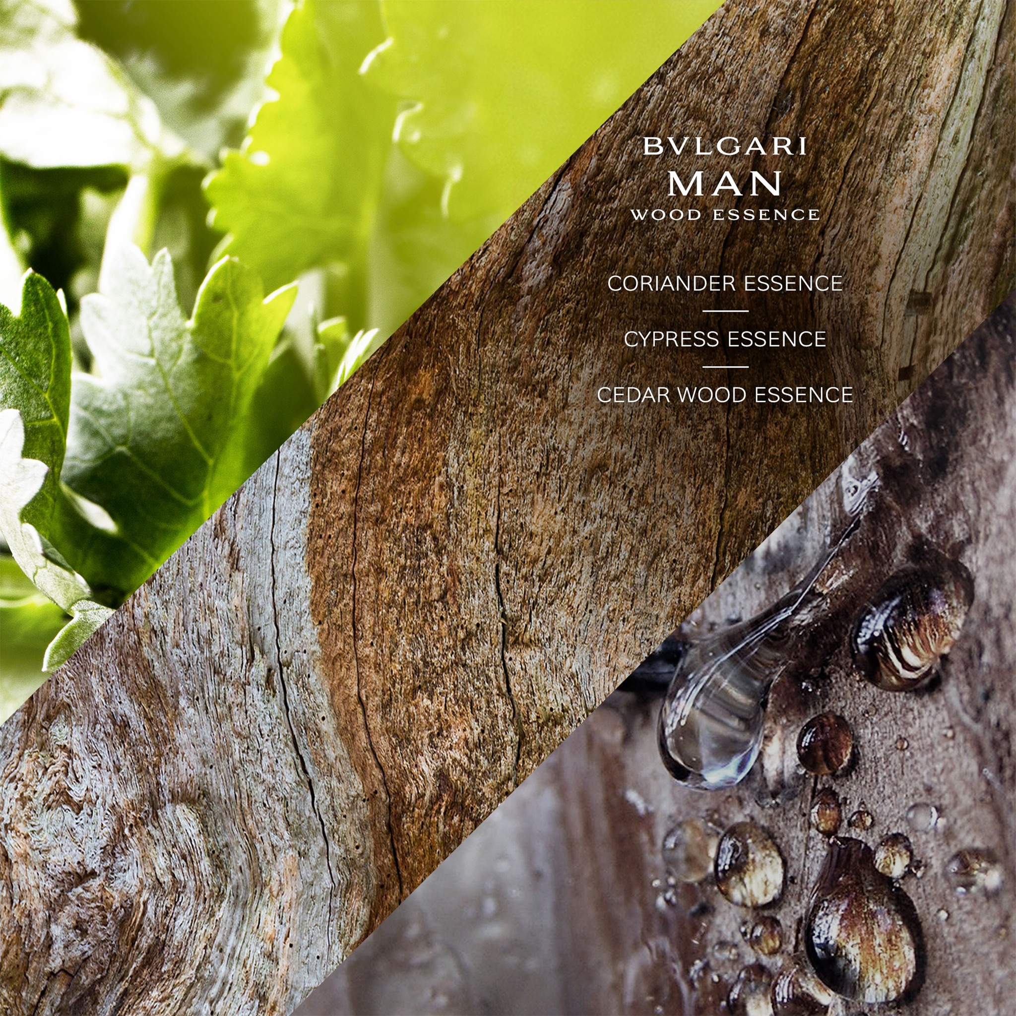 Man Wood Essence Eau de Parfum • 100ml