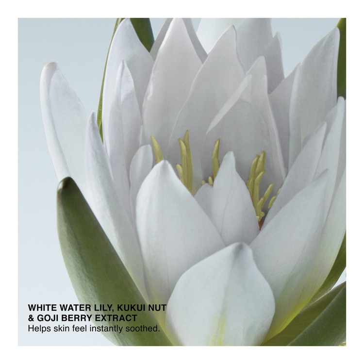 Soothing Cleansing Oil • 30ml