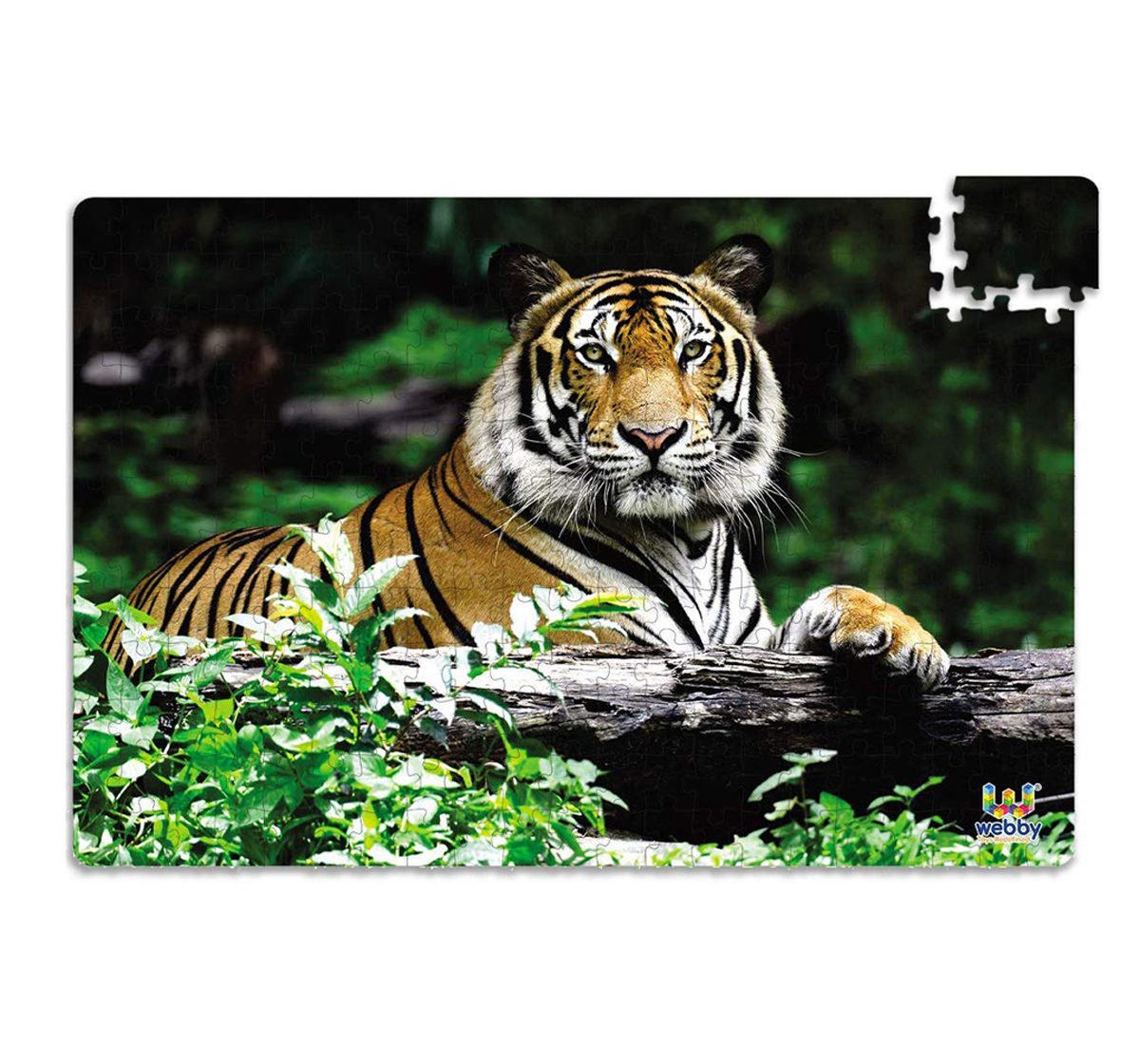 https://cdn.fynd.com/v2/falling-surf-7c8bb8/fyprod/wrkr/products/pictures/item/free/original/000000000492362419/WuDmMZouE8-492362419-3.jpg