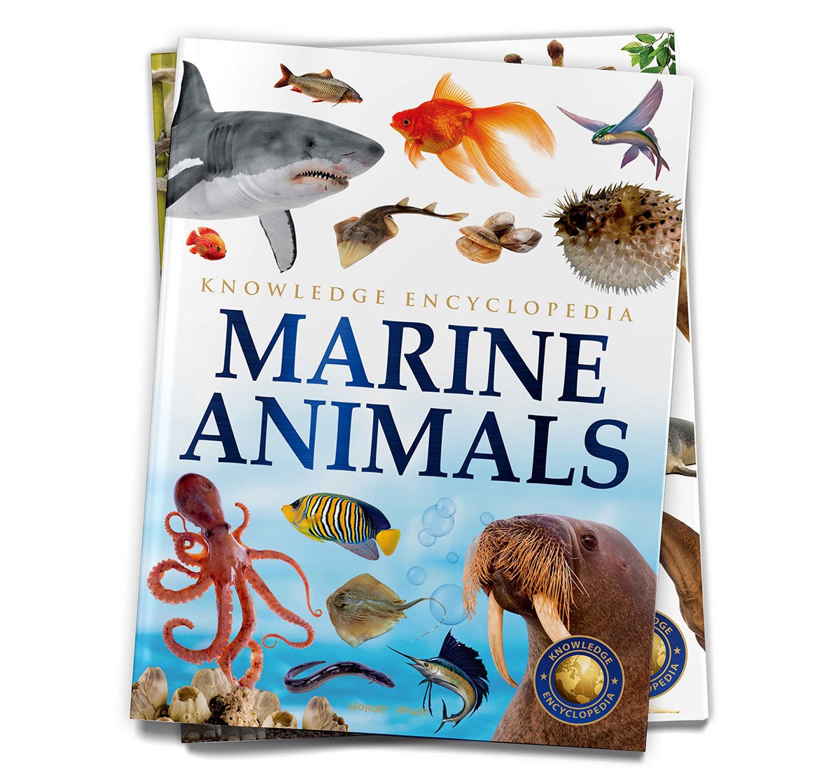 Wonder House Books Animals Collection of 6 Books Hardcover Multicolor 10M+