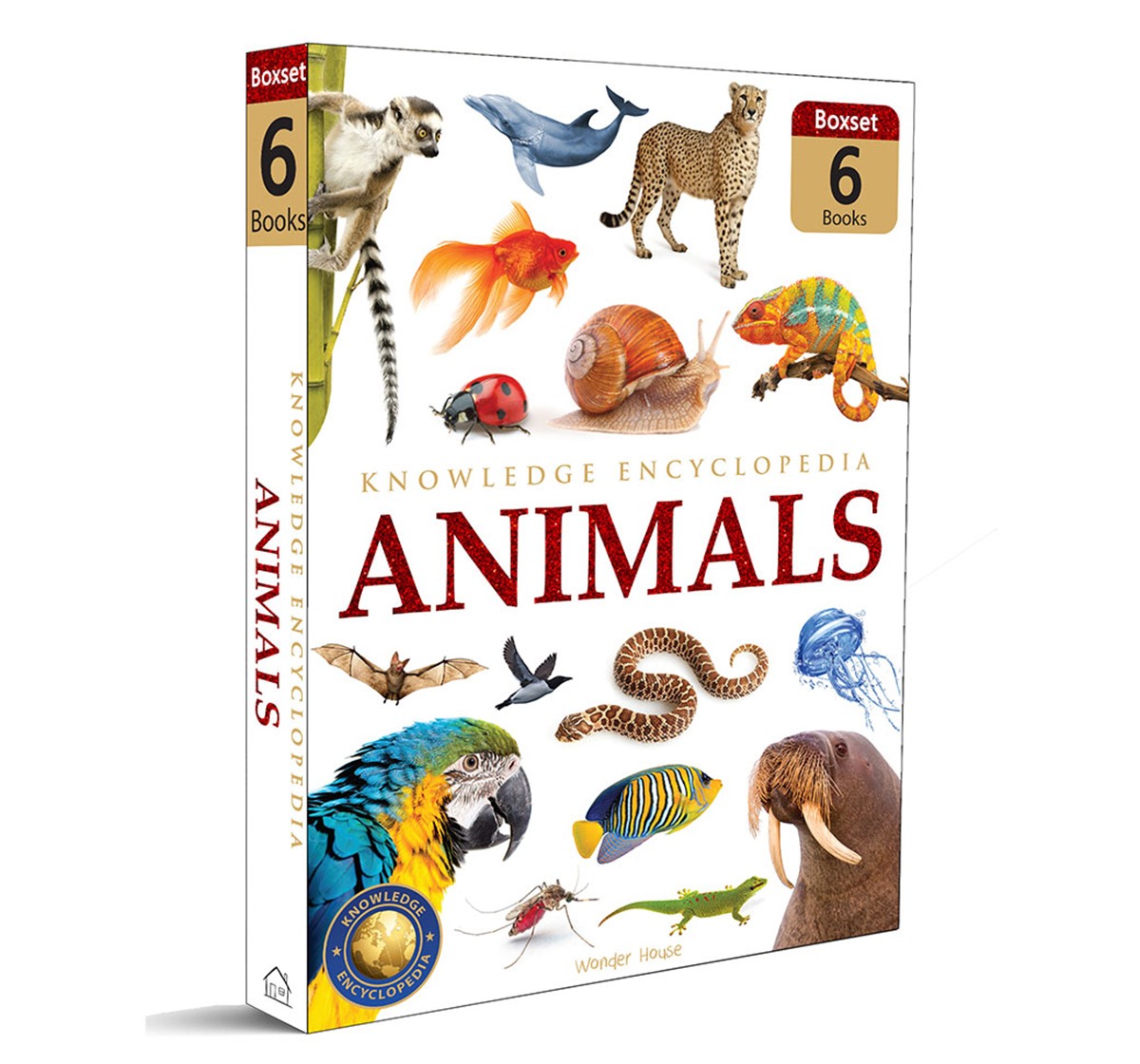 Wonder House Books Animals Collection of 6 Books Hardcover Multicolor 10M+