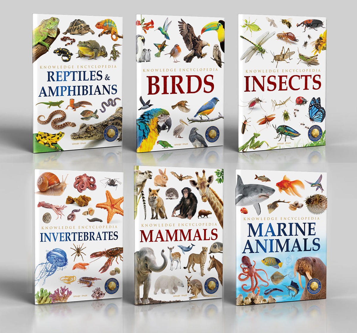 Wonder House Books Animals Collection of 6 Books Hardcover Multicolor 10M+