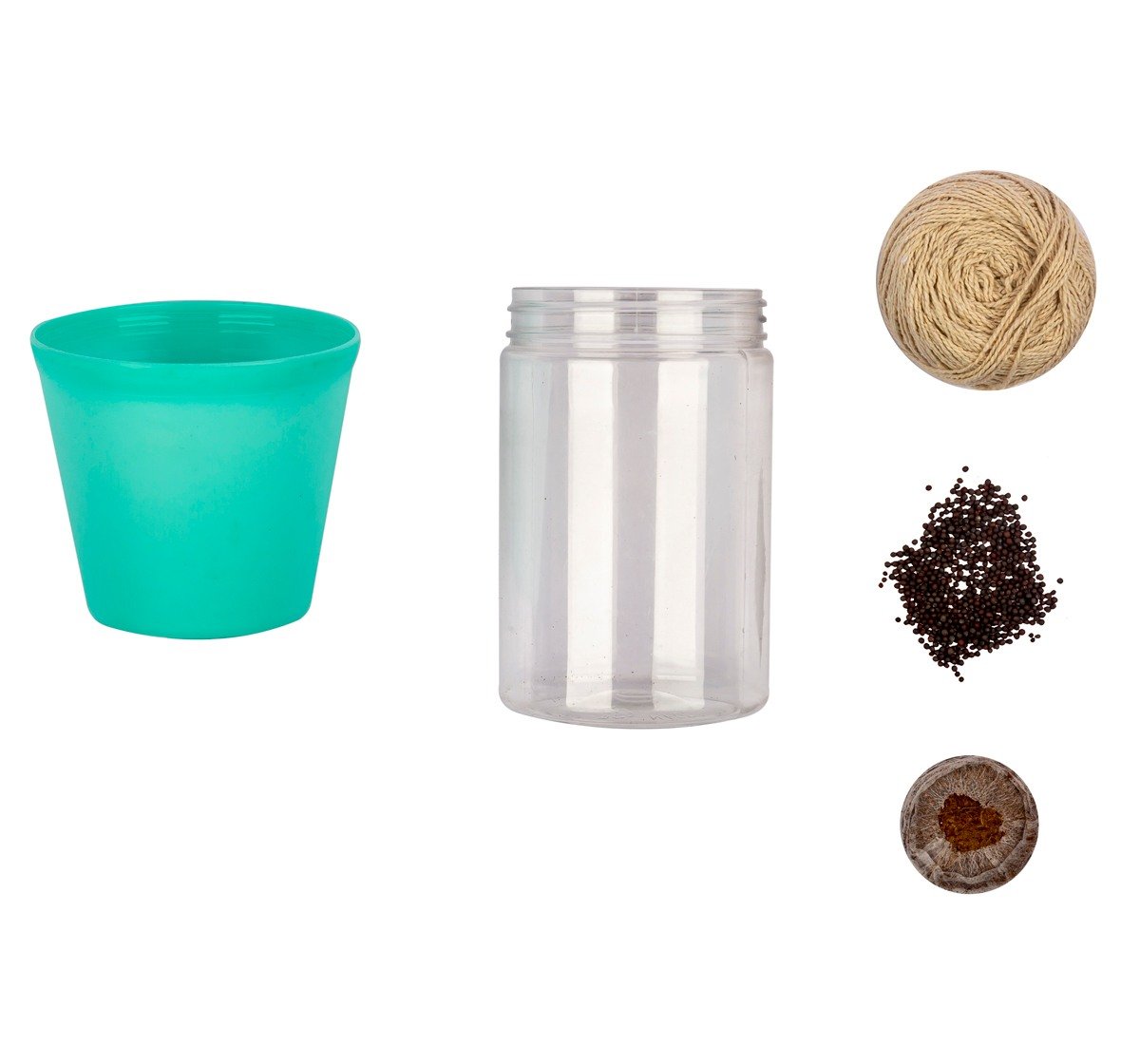 Magic4 STEM The Botanist, STEM kit of 8 Years and Above