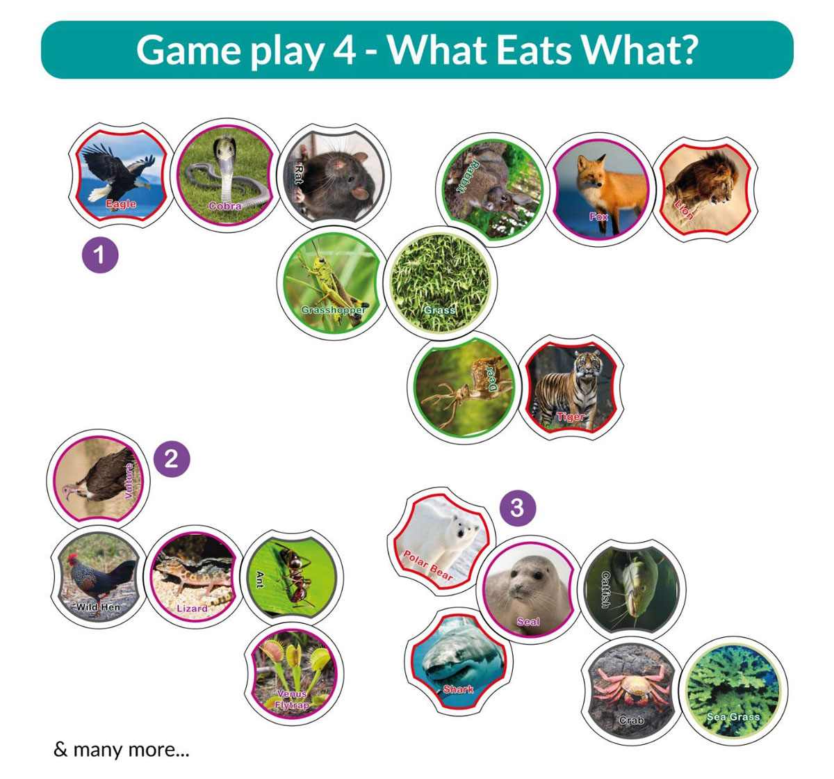Butterfly Edufields Learn to Spell Crossword games Multicolour 5Y+