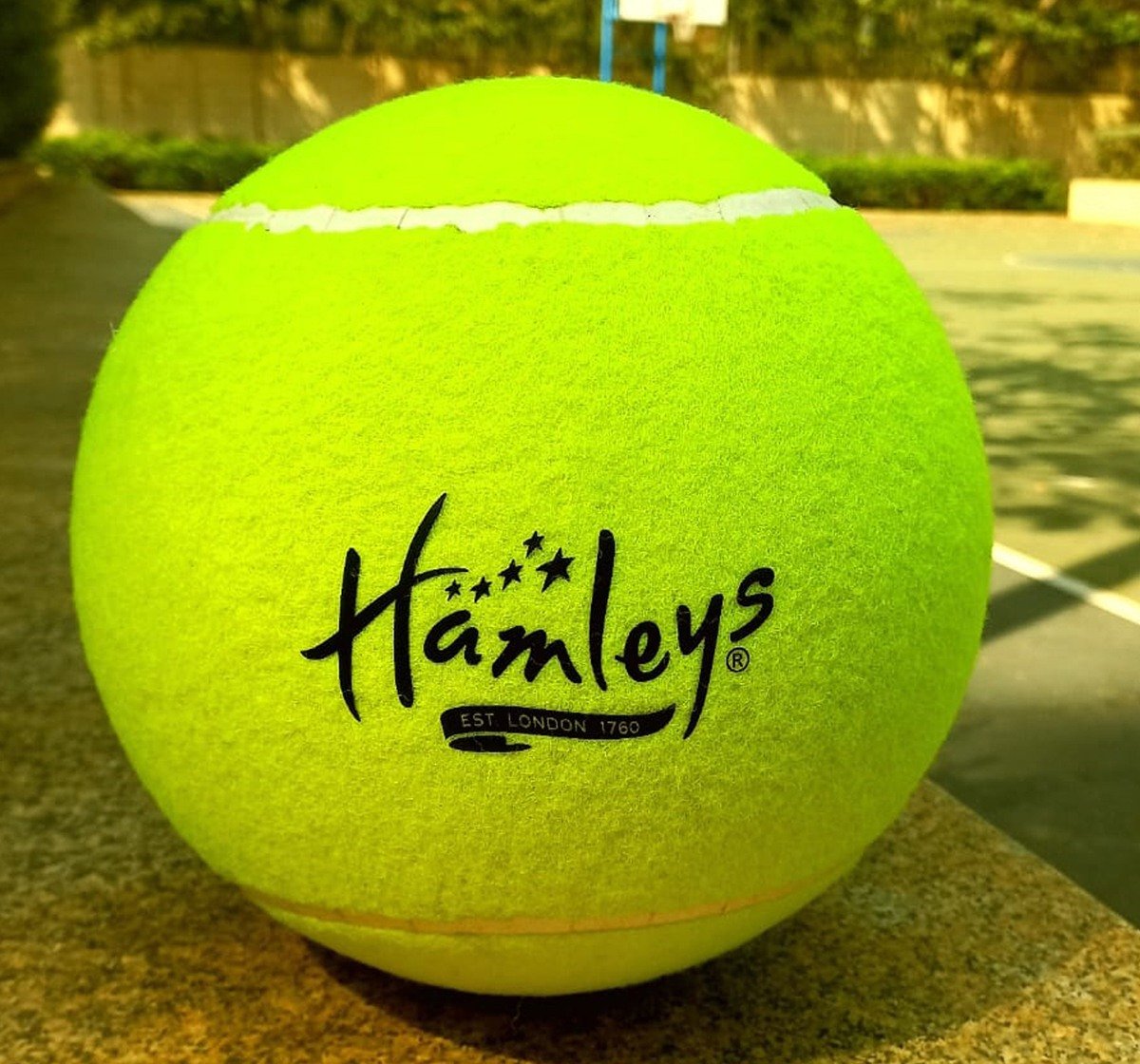 Hamleys Tennis Ball Size 5 Multicolour 3Y+