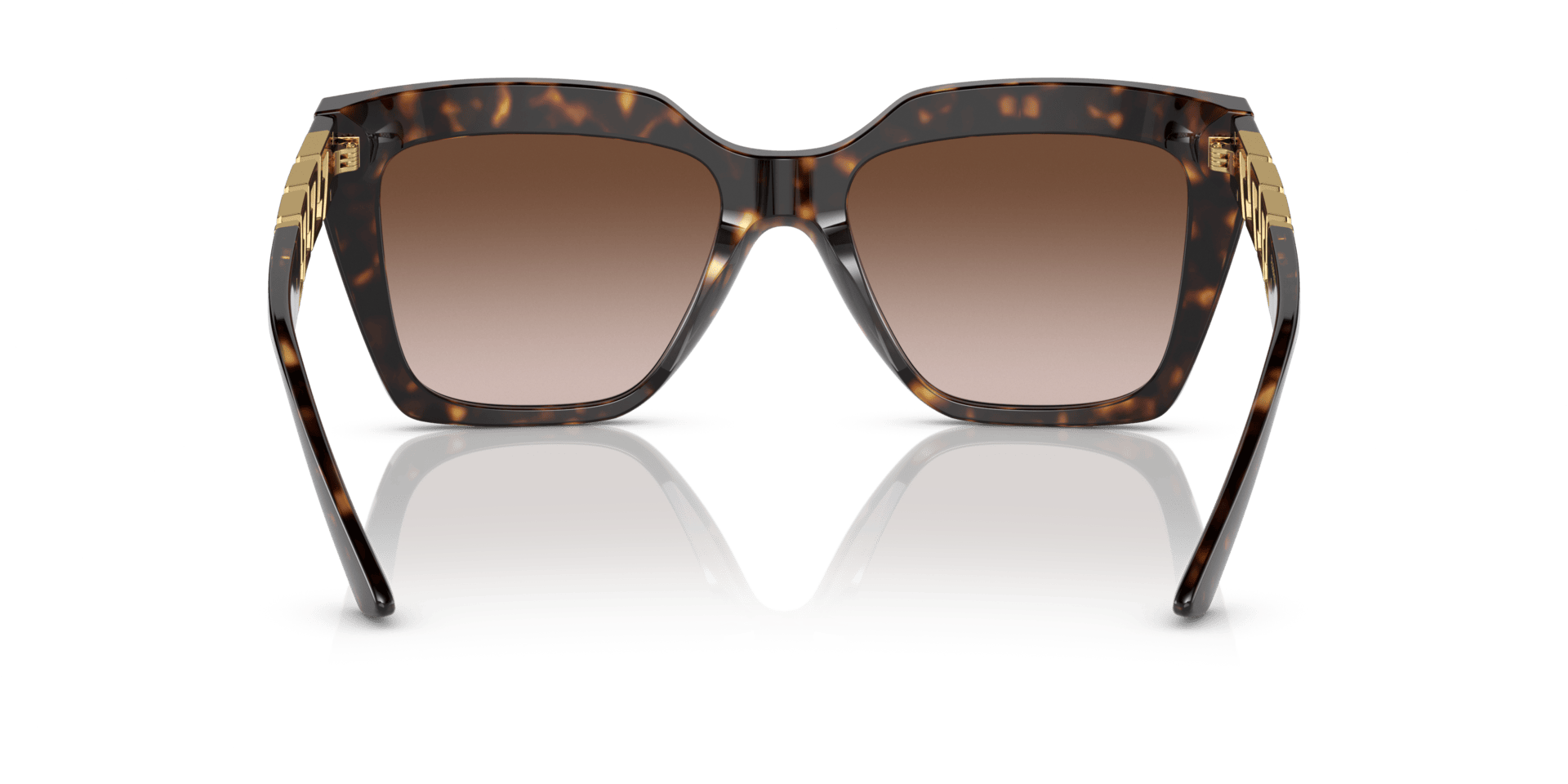 0VE4418 Acetate Women Sunglasses