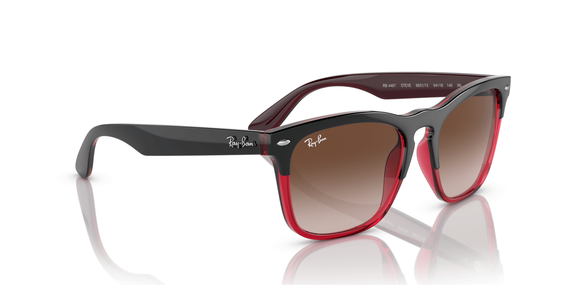 0RB4487 Injected Unisex Sunglasses