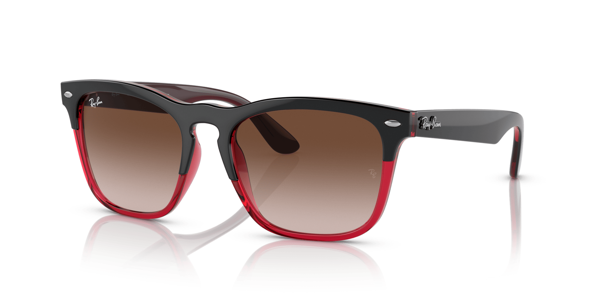 0RB4487 Injected Unisex Sunglasses