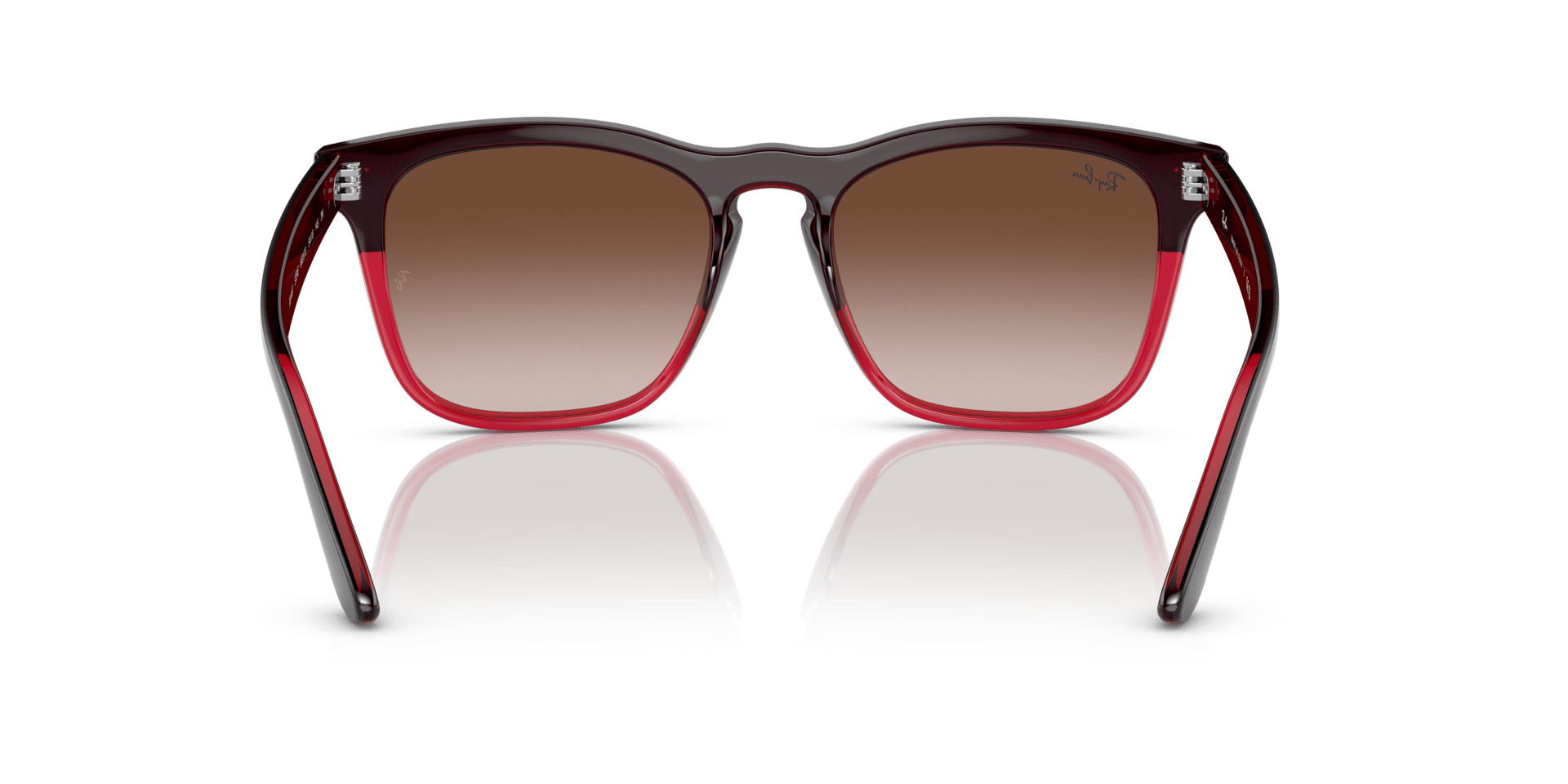 0RB4487 Injected Unisex Sunglasses