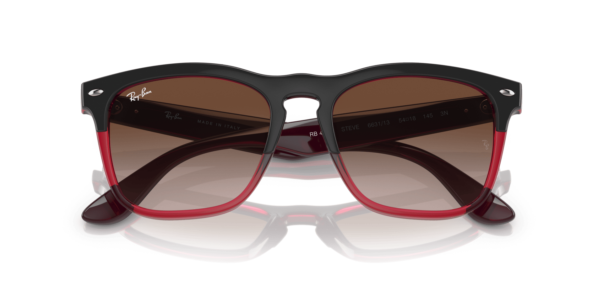 0RB4487 Injected Unisex Sunglasses