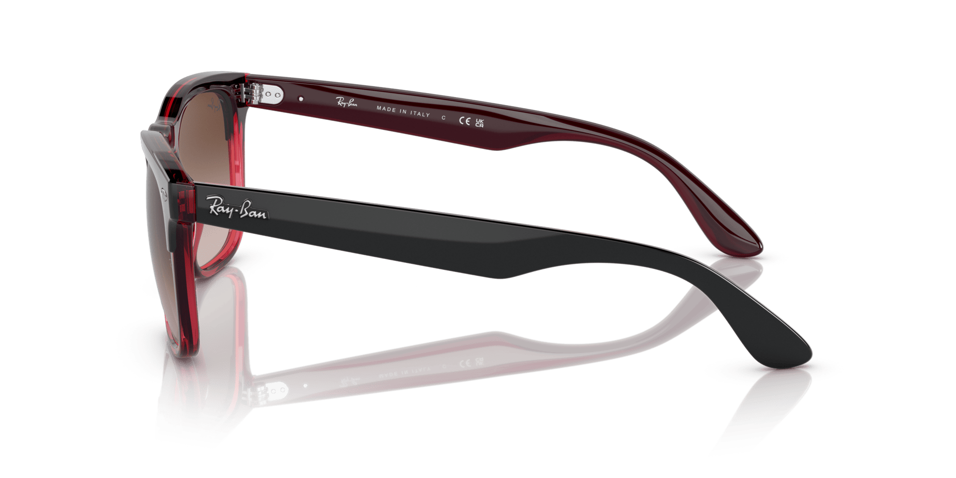 0RB4487 Injected Unisex Sunglasses