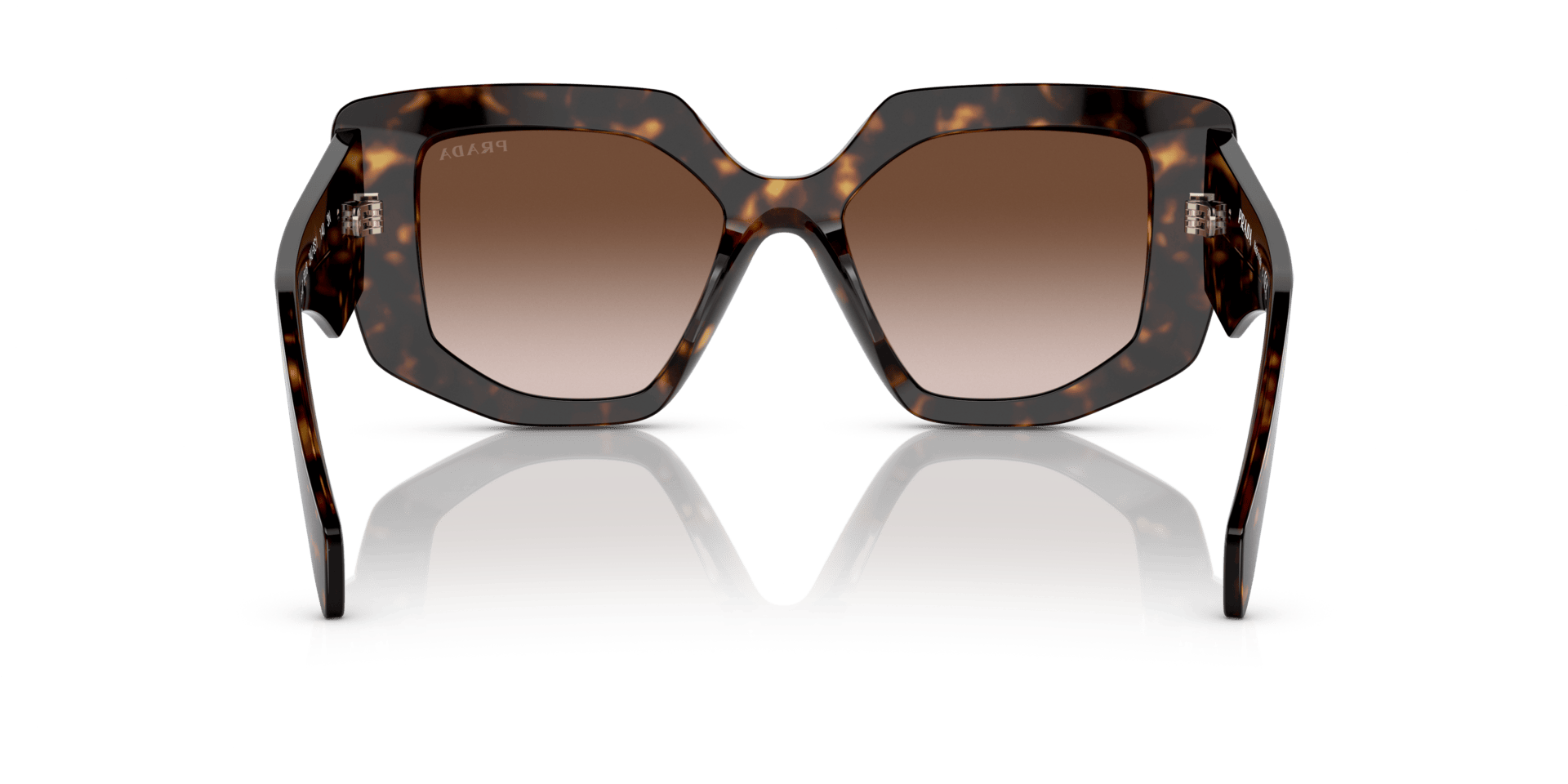 0PR 14ZS Acetate Women Sunglasses