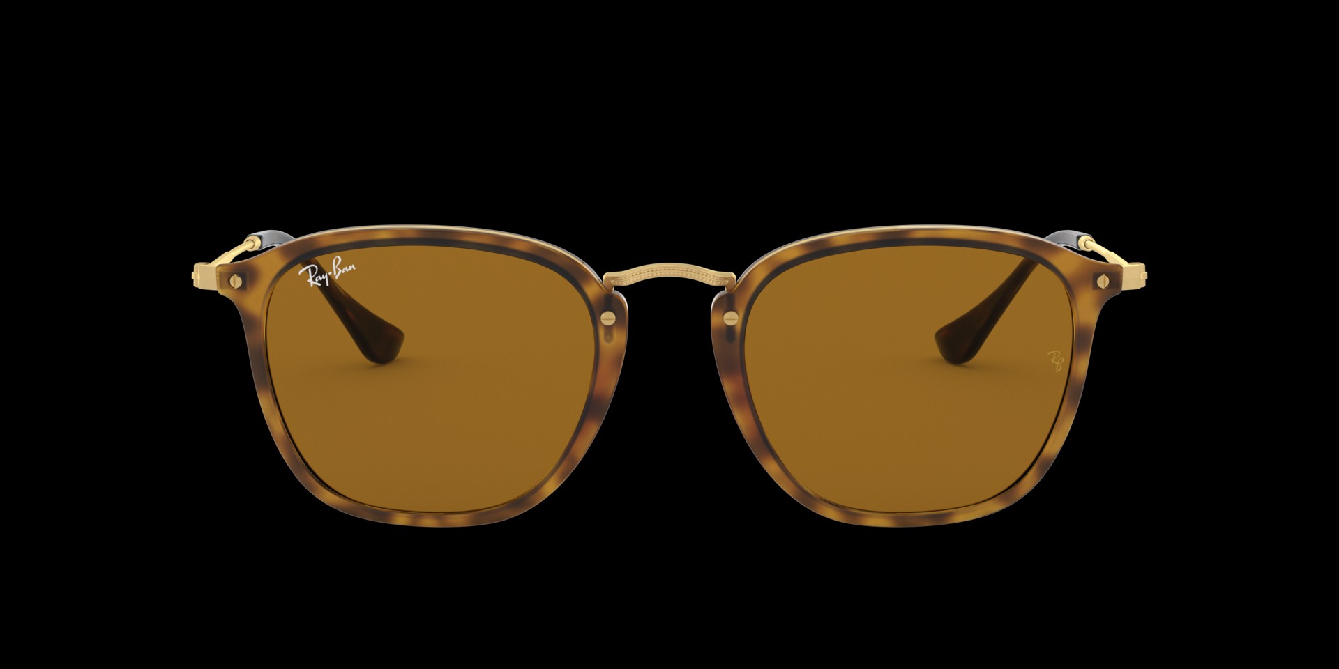 0RB2448N Injected Unisex Sunglasses