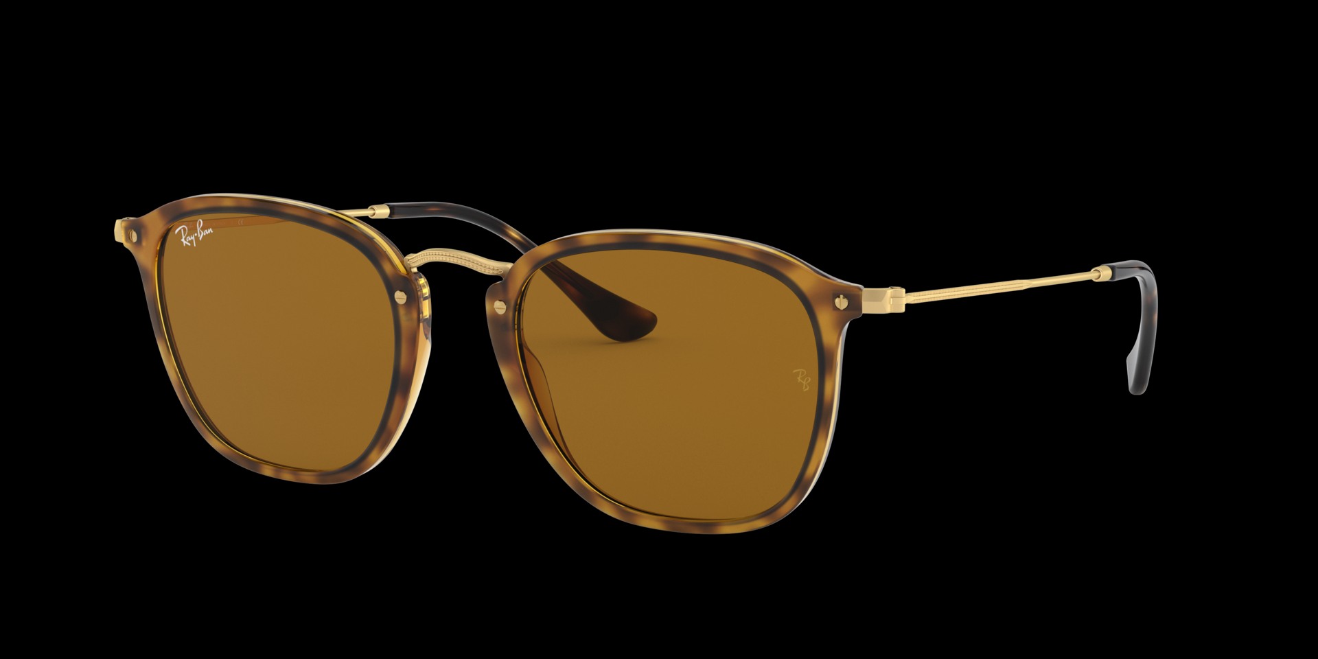 0RB2448N Injected Unisex Sunglasses
