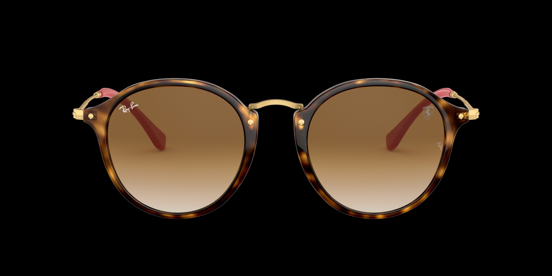 0RB2447NM Propionate Unisex Sunglasses