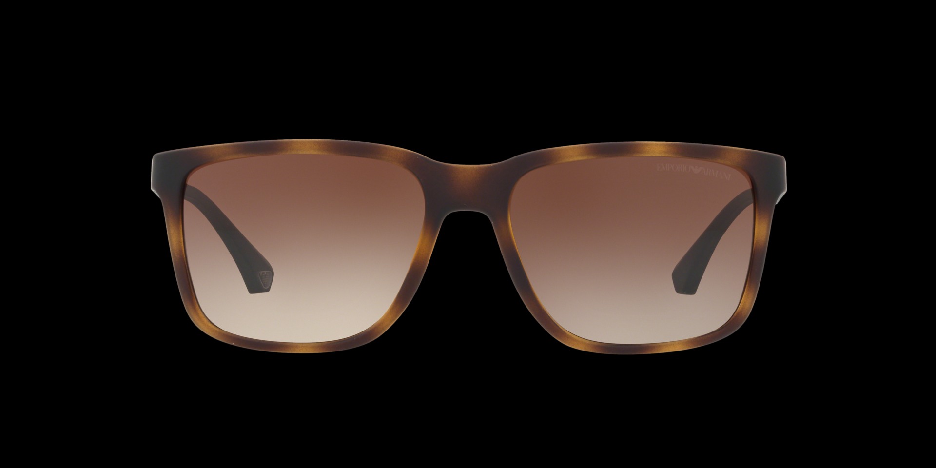 0EA4047 Injected Men Sunglasses