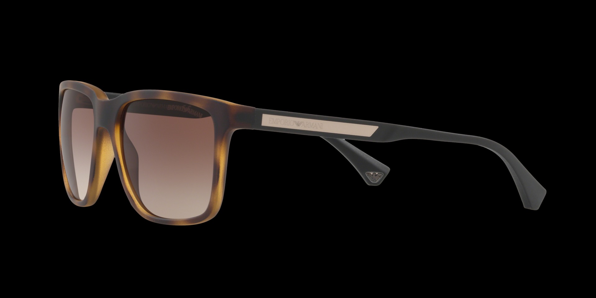 0EA4047 Injected Men Sunglasses