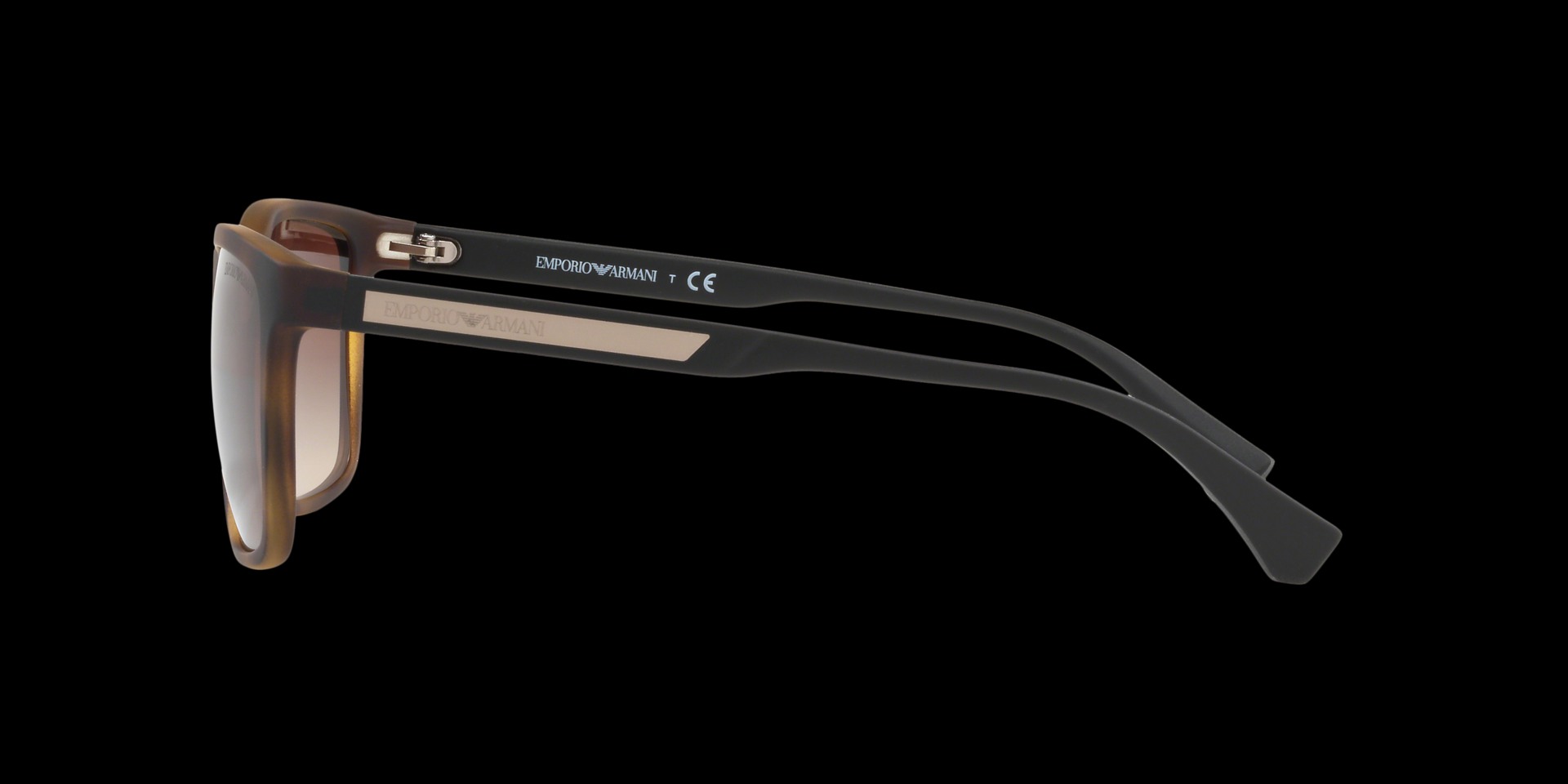 0EA4047 Injected Men Sunglasses