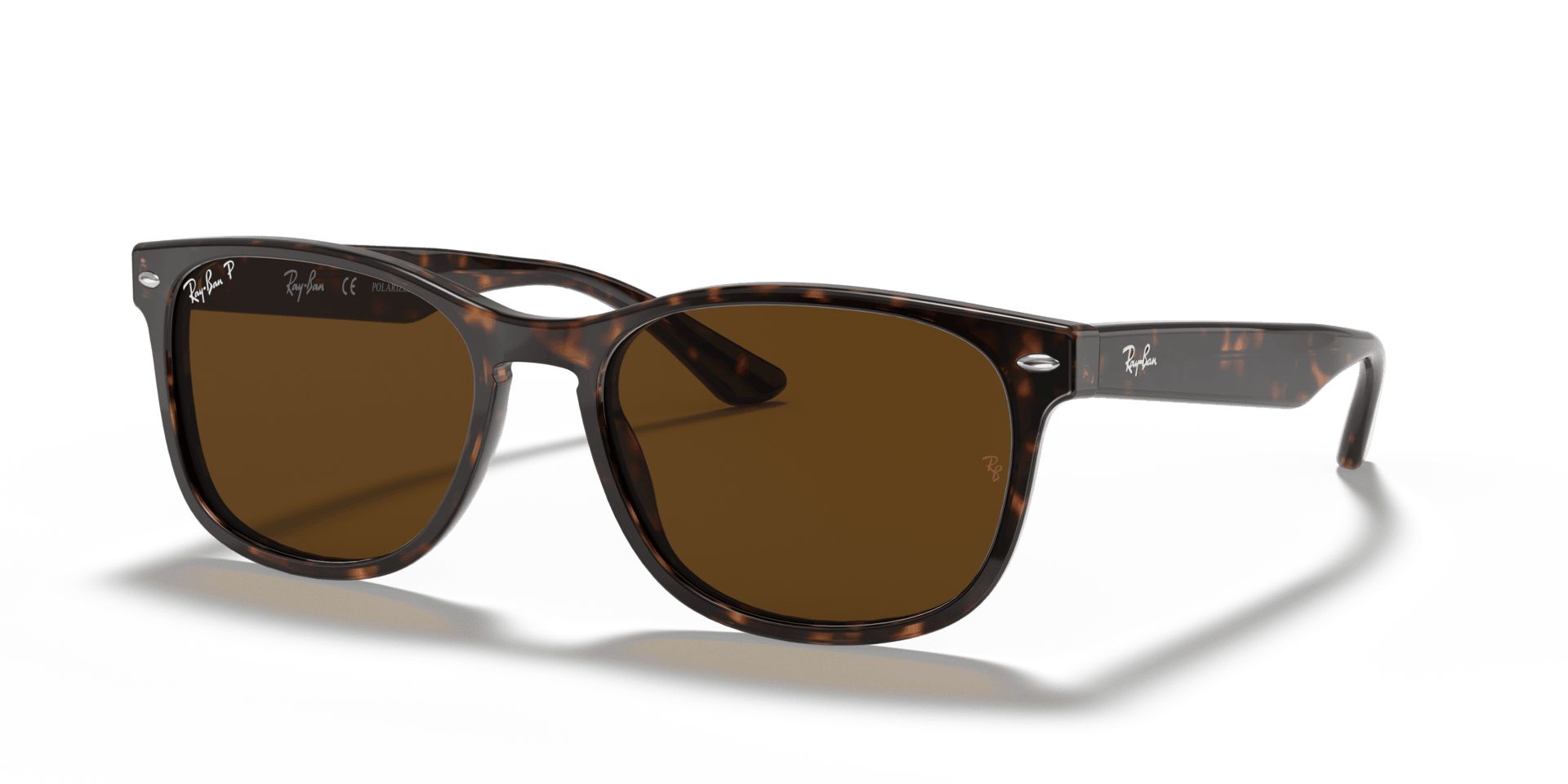 0RB2184 Acetate Unisex Sunglasses