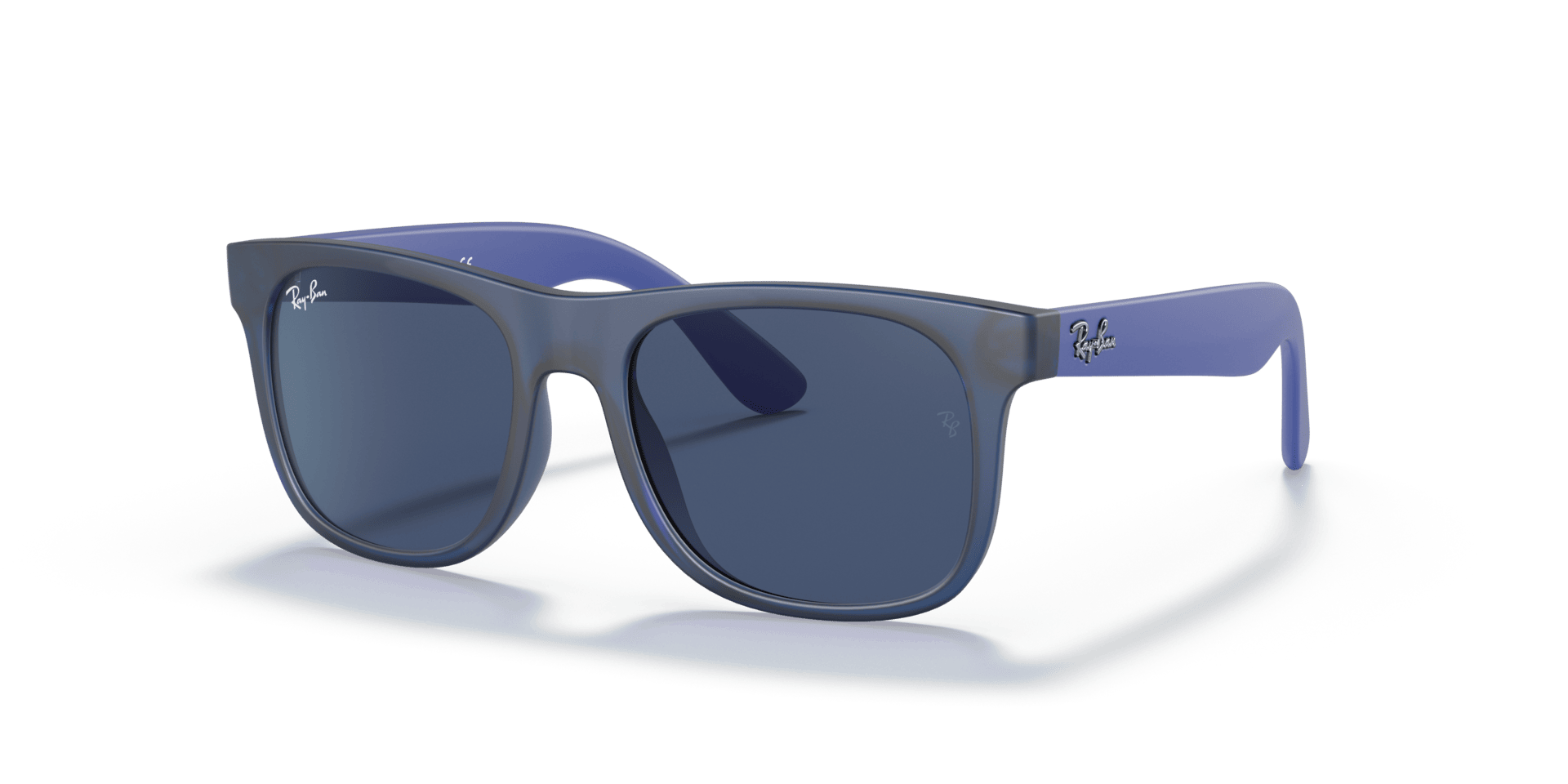 0RJ9069S Injected Men Sunglasses