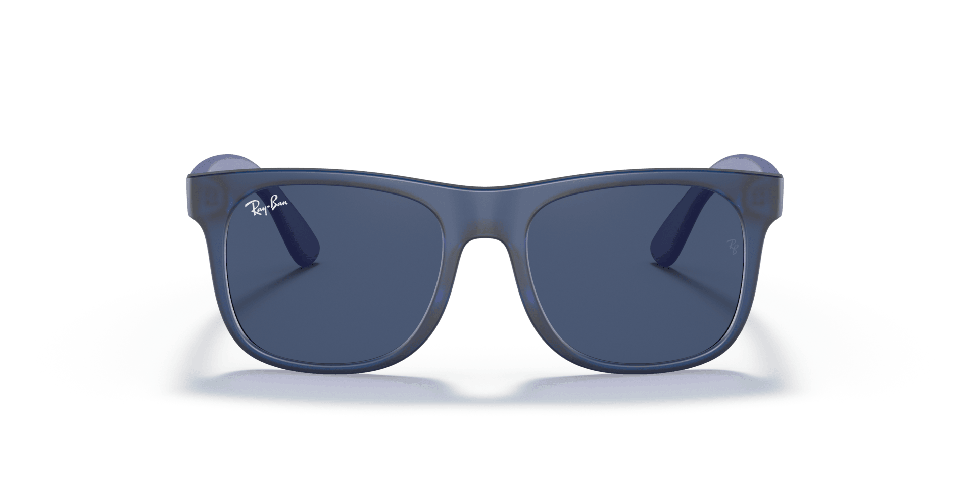0RJ9069S Injected Men Sunglasses