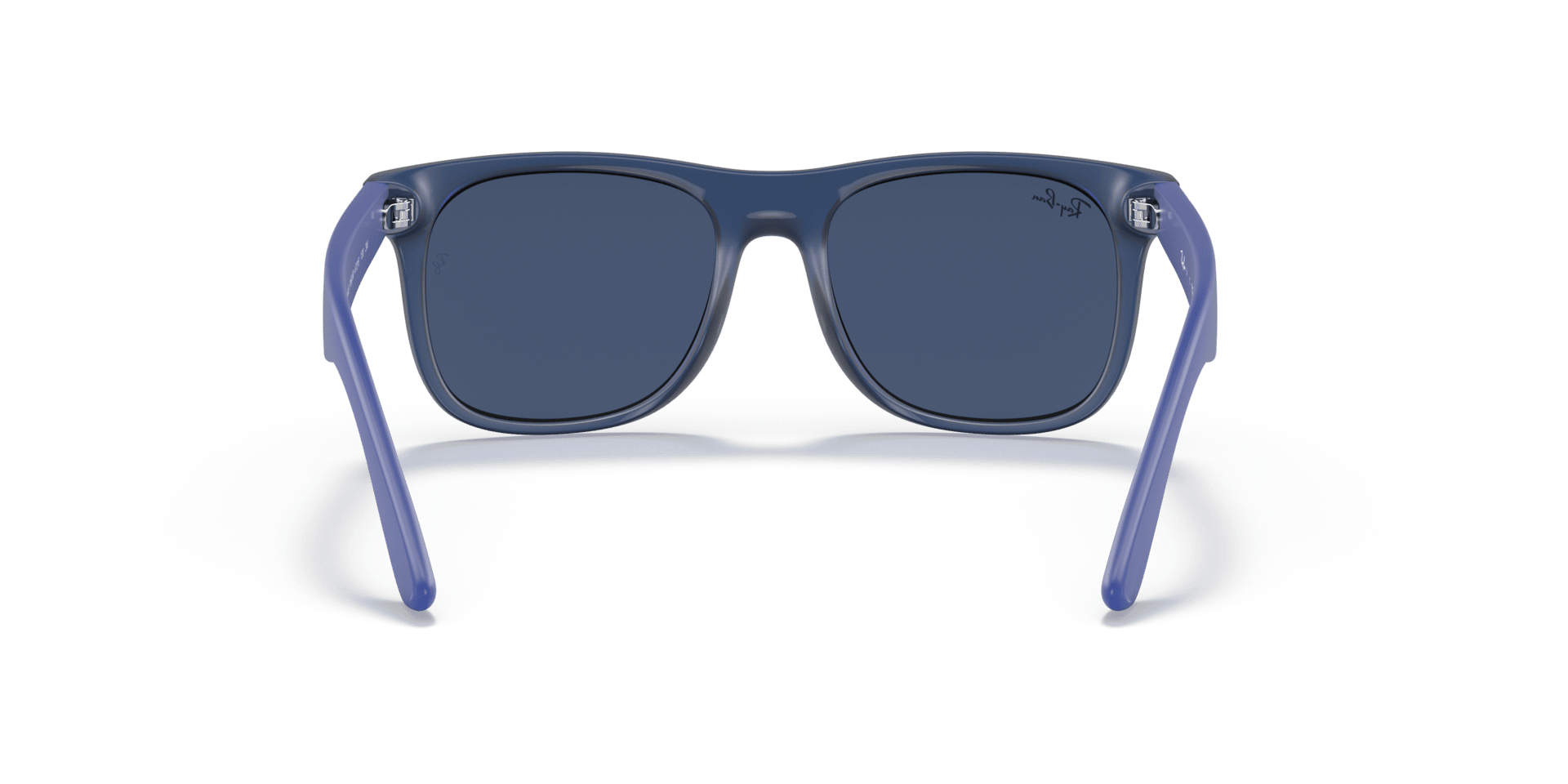0RJ9069S Injected Men Sunglasses