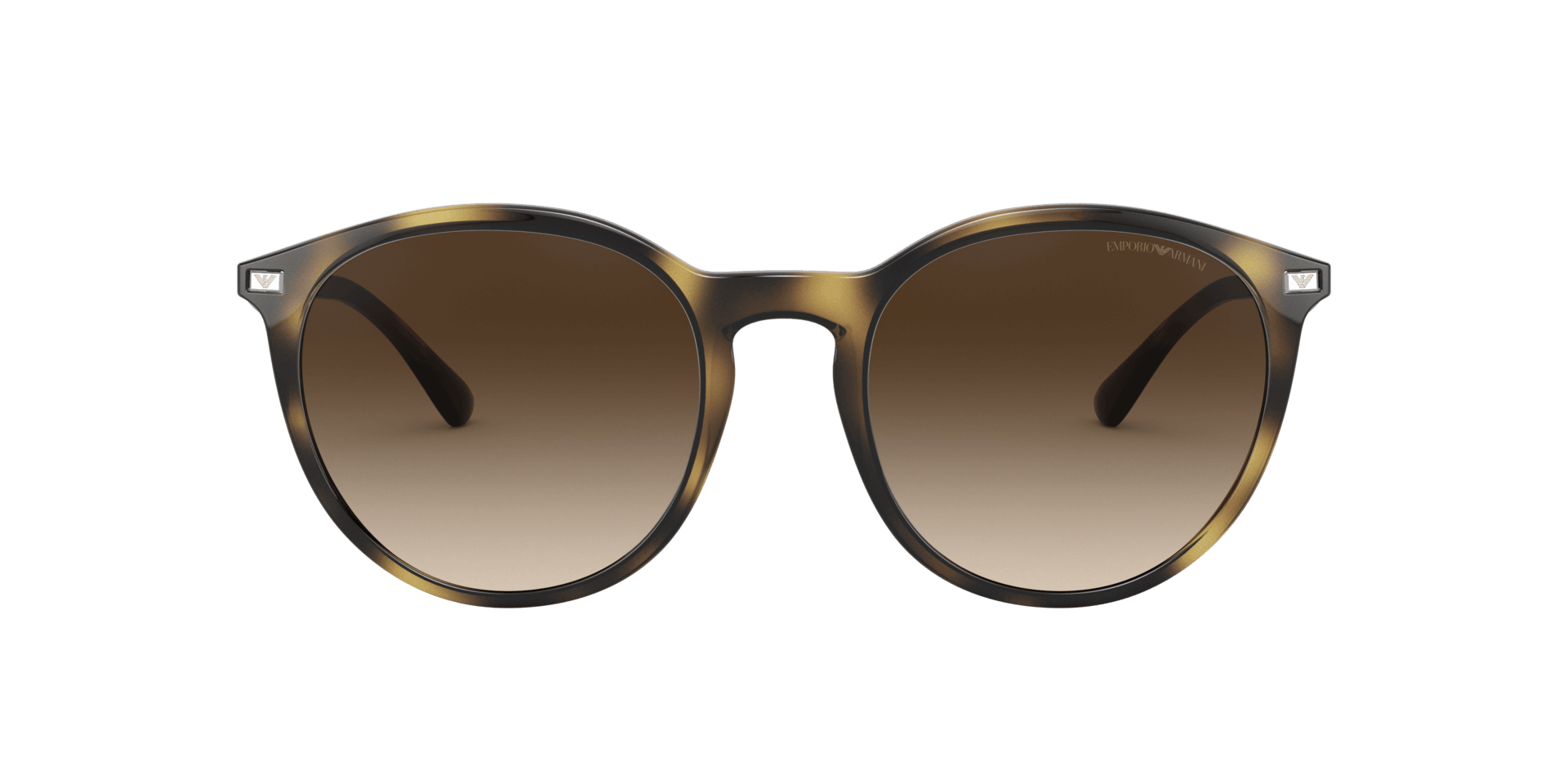 0EA4148 Injected Women Sunglasses