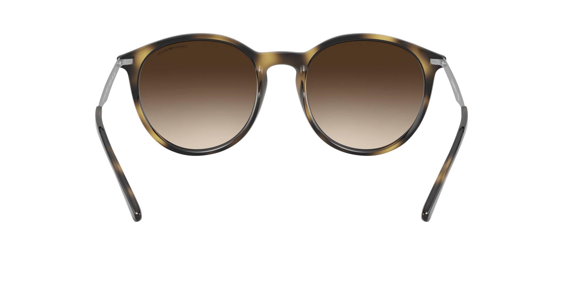 0EA4148 Injected Women Sunglasses