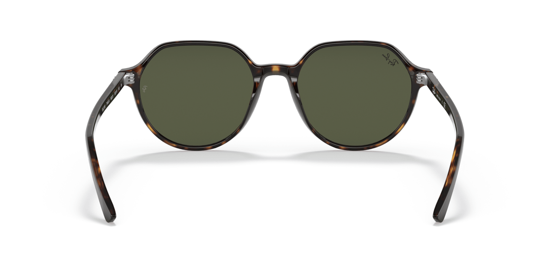 0RB2195 Acetate Unisex Sunglasses