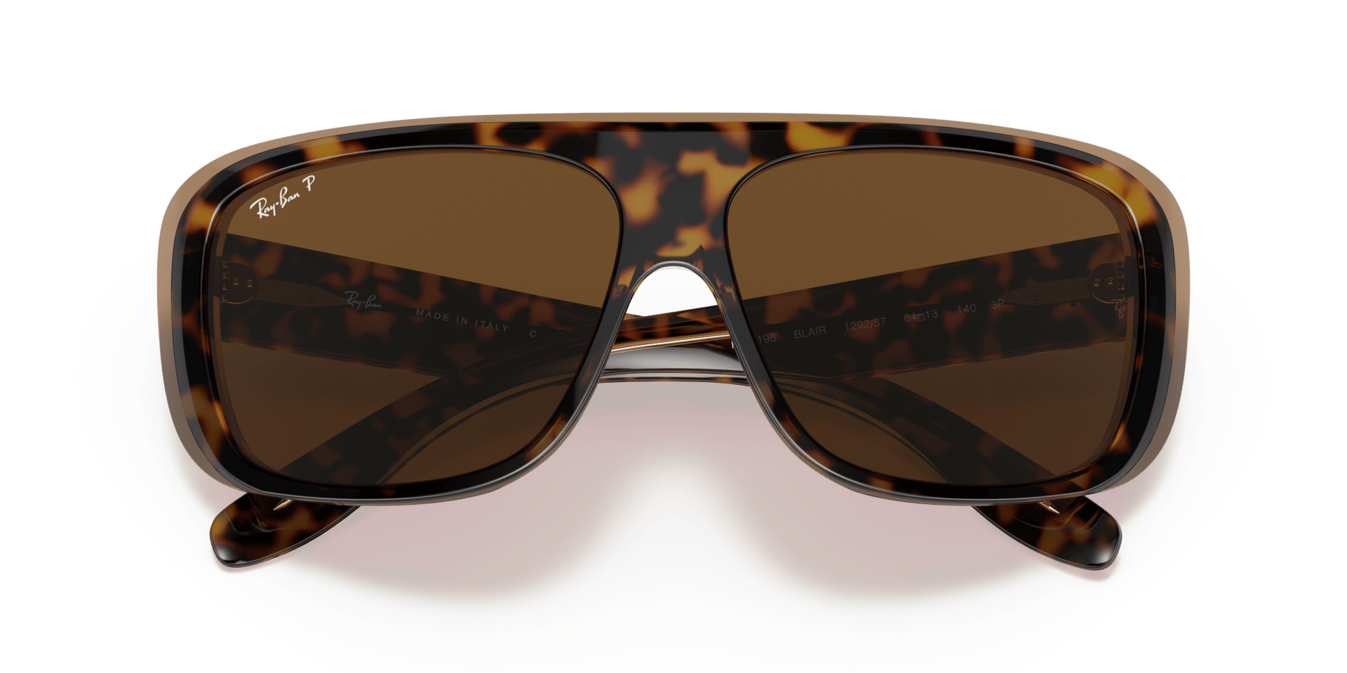 0RB2196 Acetate Unisex Sunglasses
