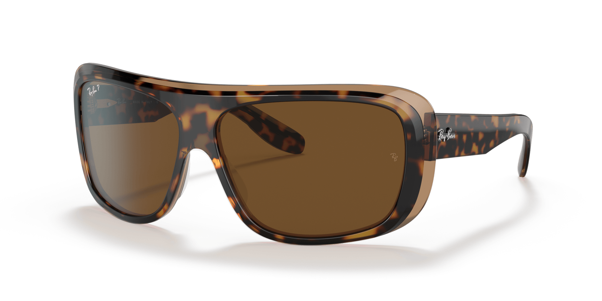 0RB2196 Acetate Unisex Sunglasses