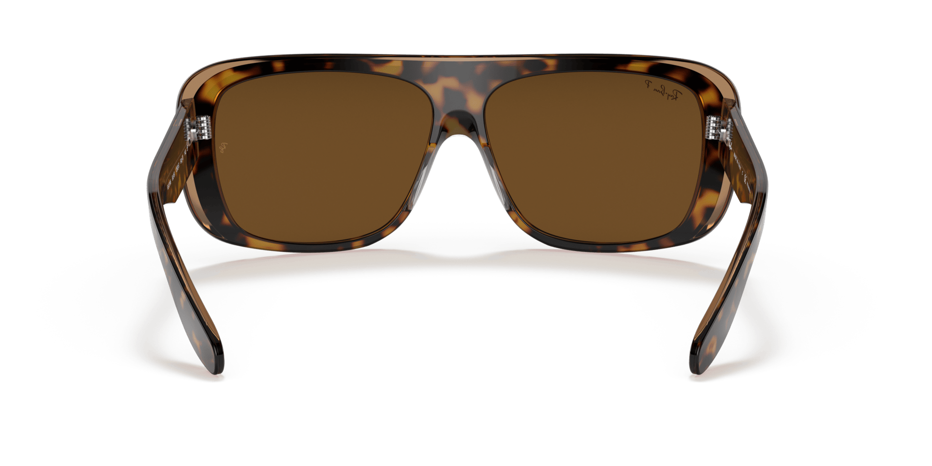 0RB2196 Acetate Unisex Sunglasses
