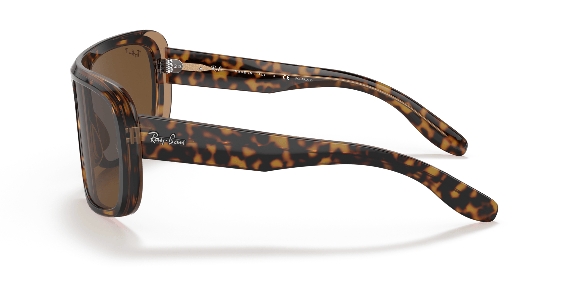0RB2196 Acetate Unisex Sunglasses