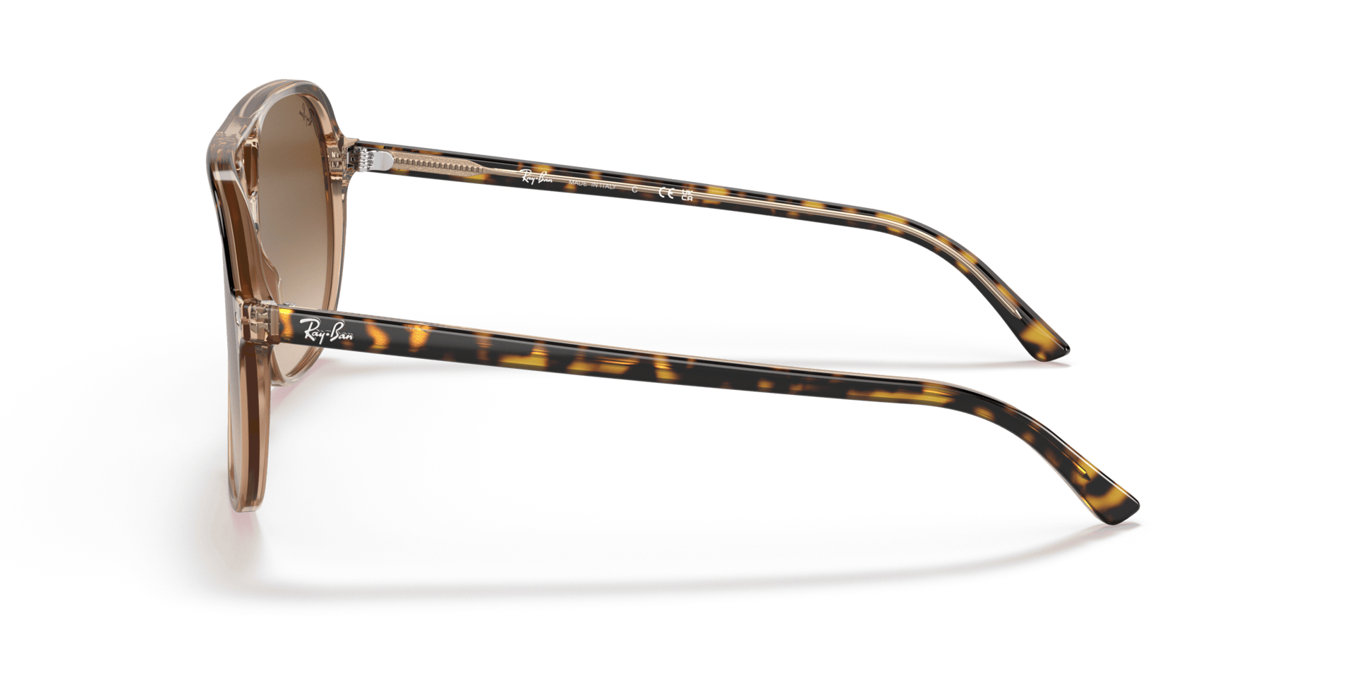 0RB2198 Acetate Unisex Sunglasses