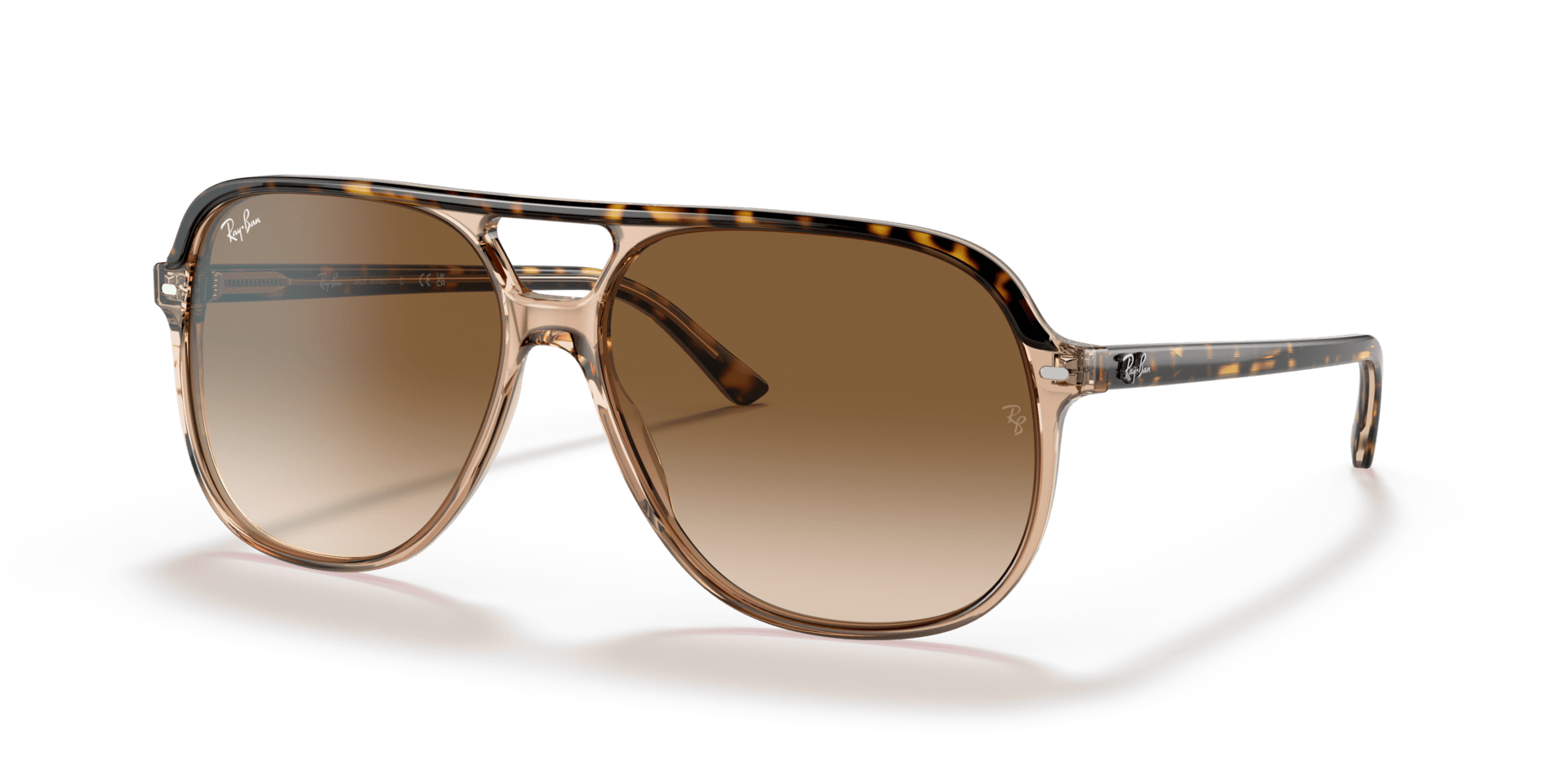 0RB2198 Acetate Unisex Sunglasses