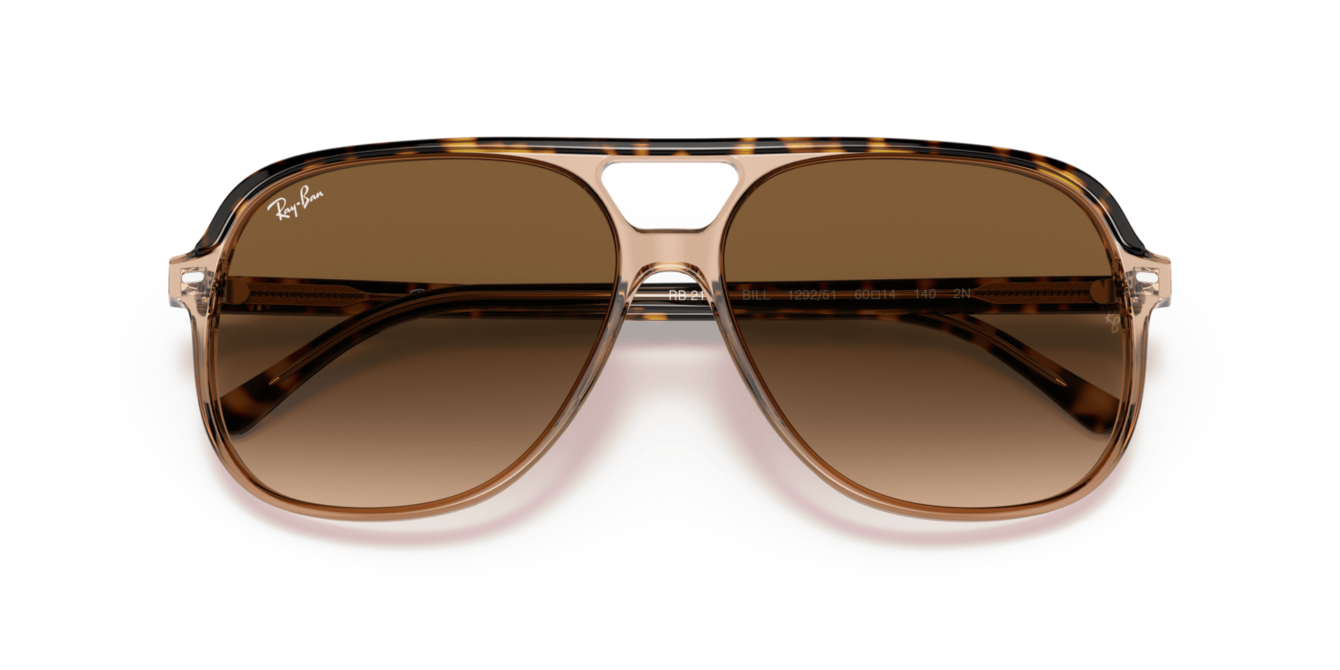 0RB2198 Acetate Unisex Sunglasses