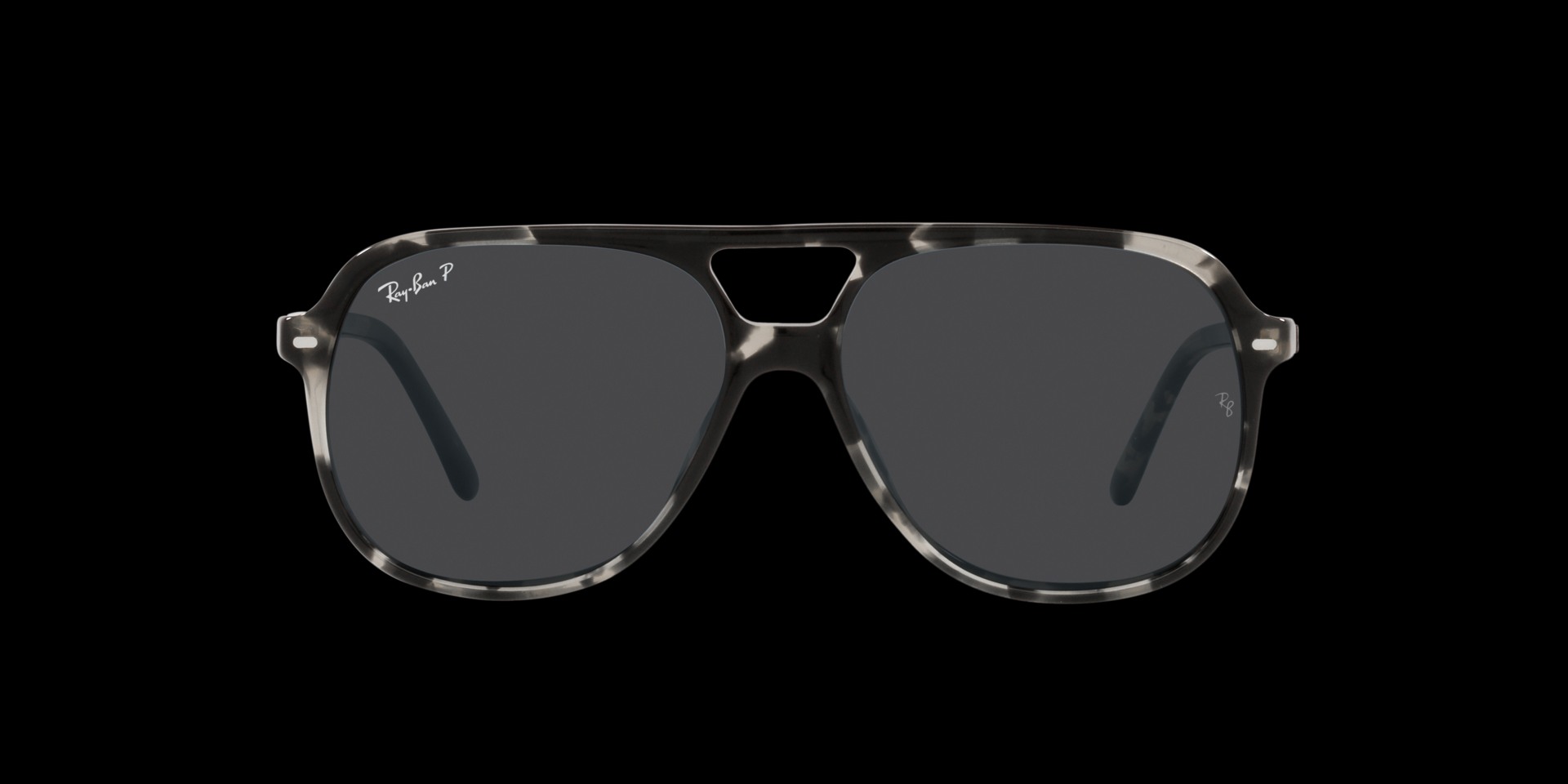 0RB2198 Acetate Unisex Sunglasses