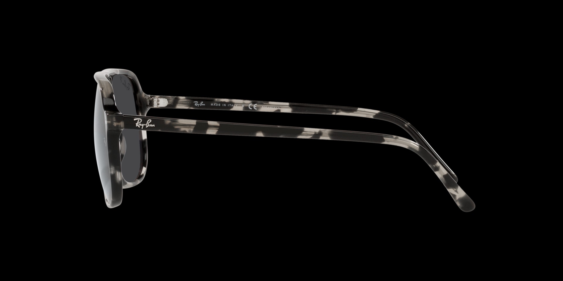 0RB2198 Acetate Unisex Sunglasses