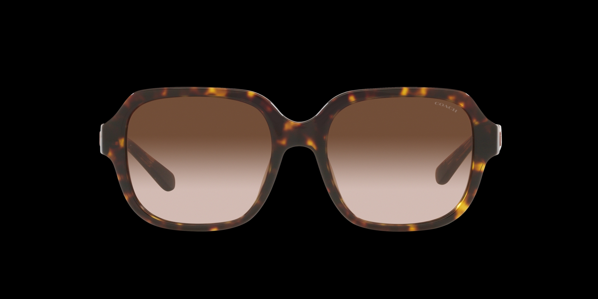 Y2K Coach sunglasses and Coach case Tortoise brown... - Depop