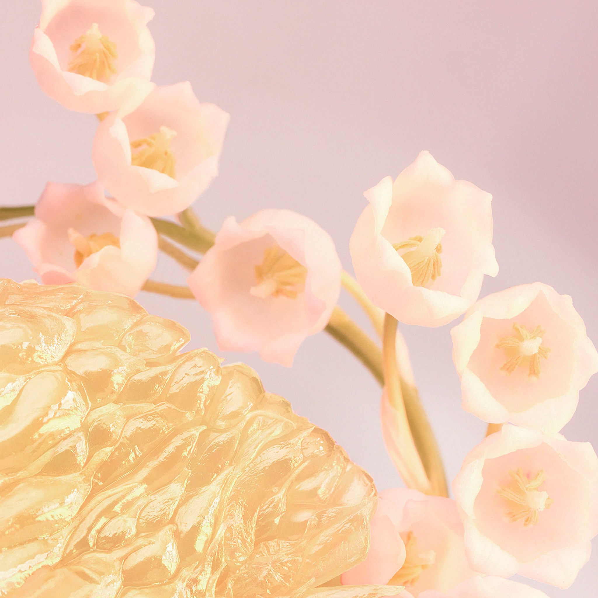 Rose Goldea Blossom Delight Eau De Toilette • 75ml