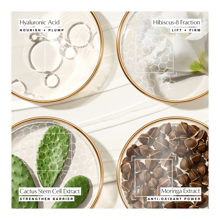 Revitalizing Supreme+ Youth Power Soft Creme Moisturizer • 50ml
