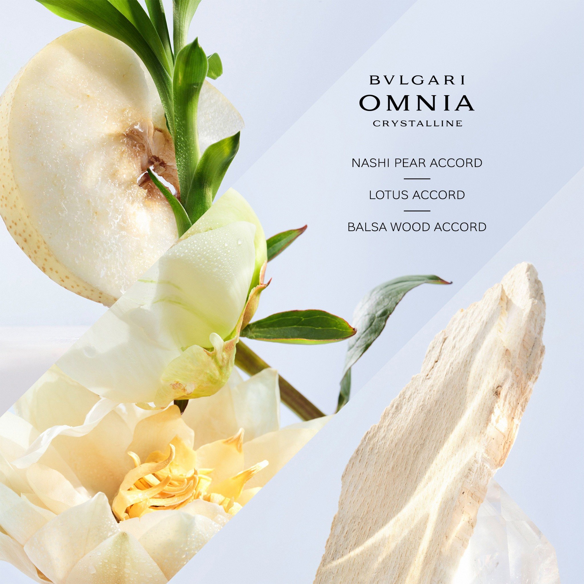 Omnia Crystalline Eau De Toilette • 100ml