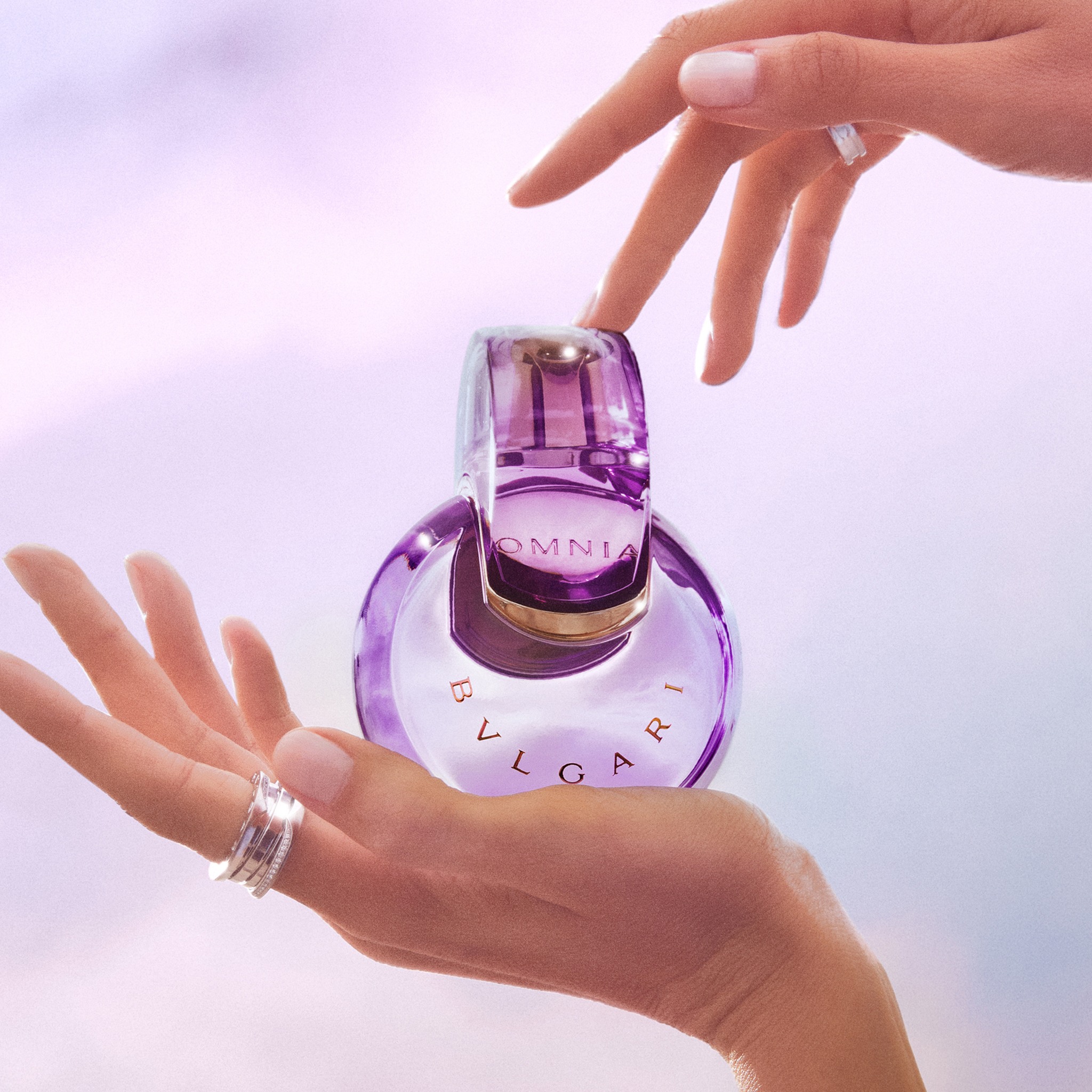 Omnia Amethyste Eau De Toilette • 100ml