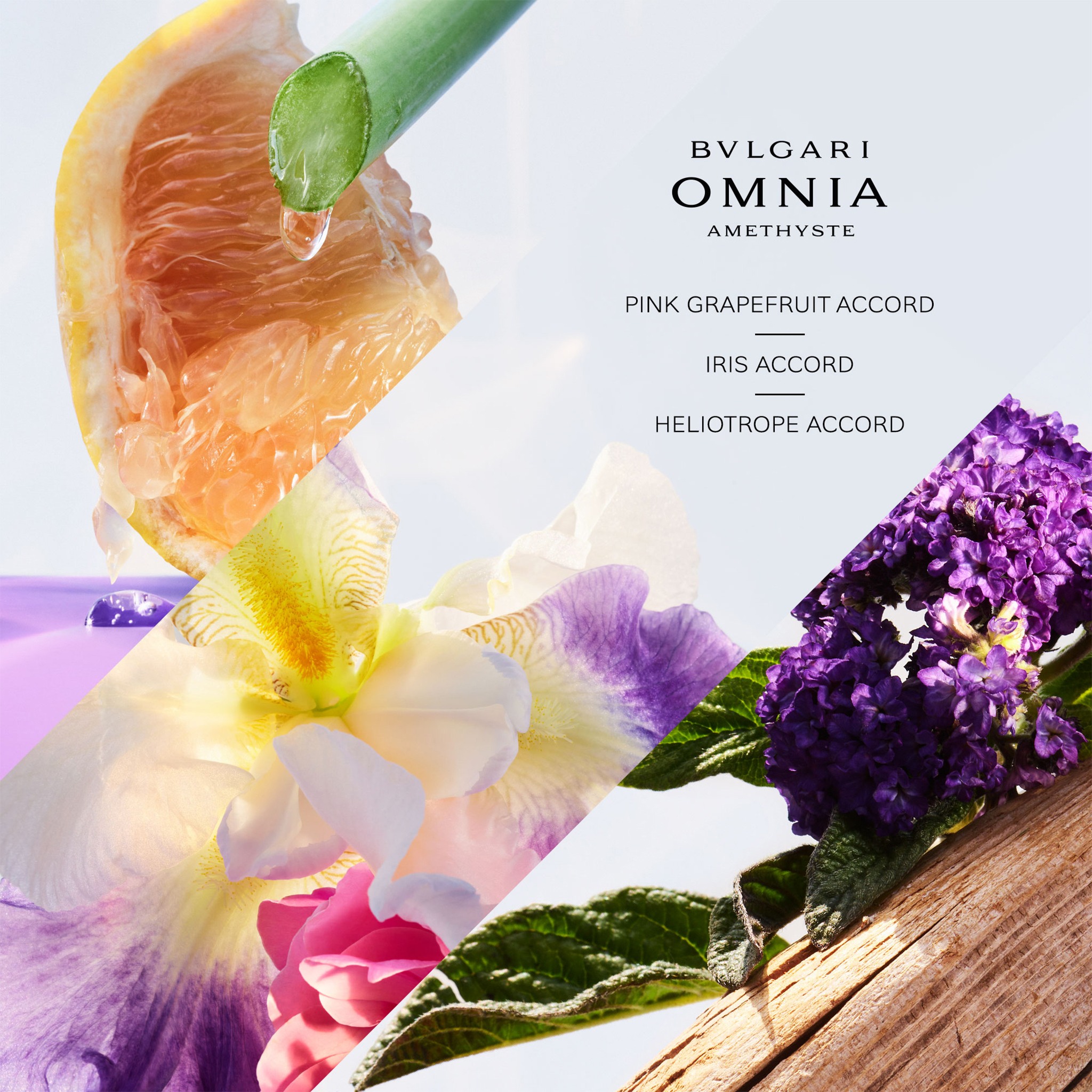 Omnia Amethyste Eau De Toilette • 100ml