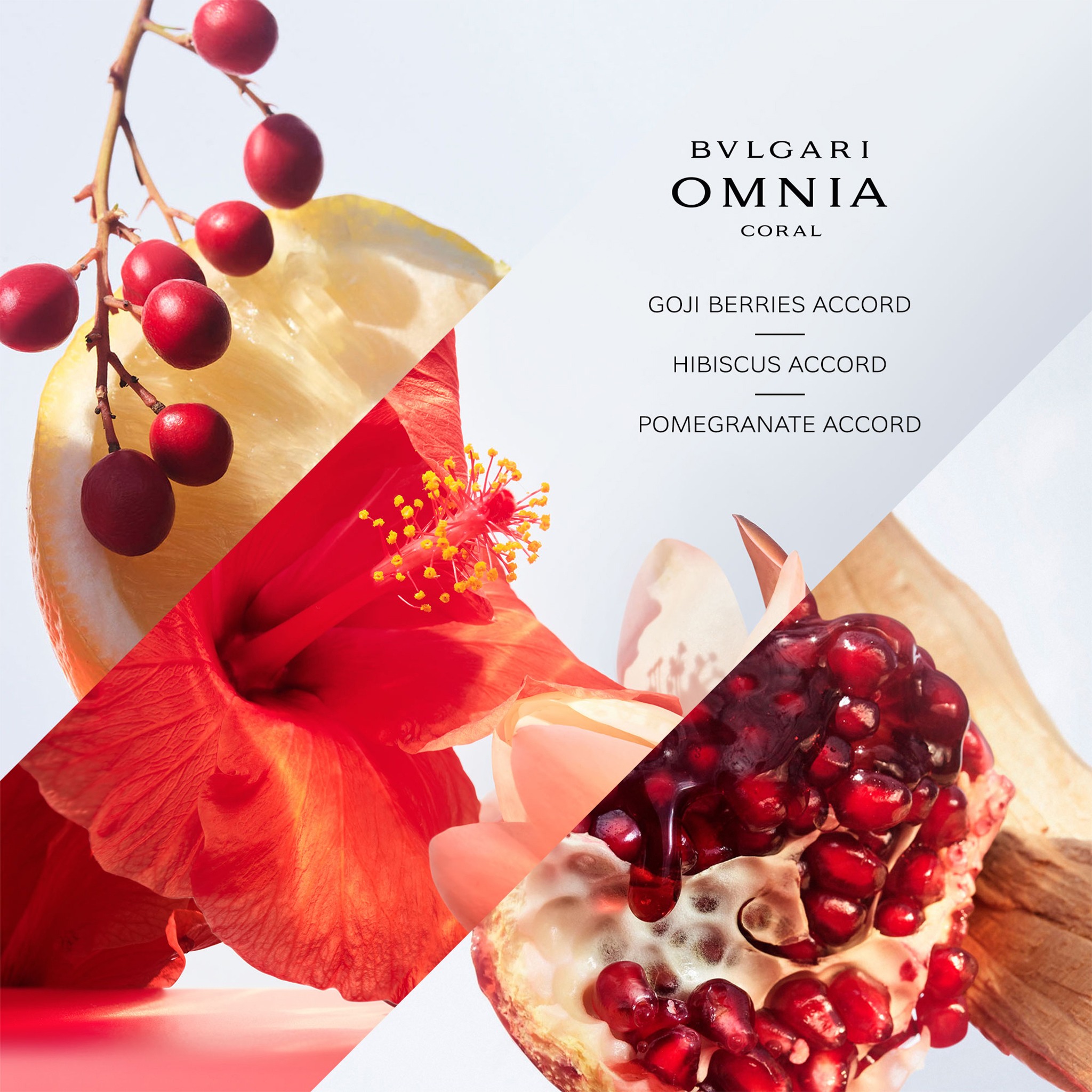 Omnia Coral Eau De Toilette • 100ml