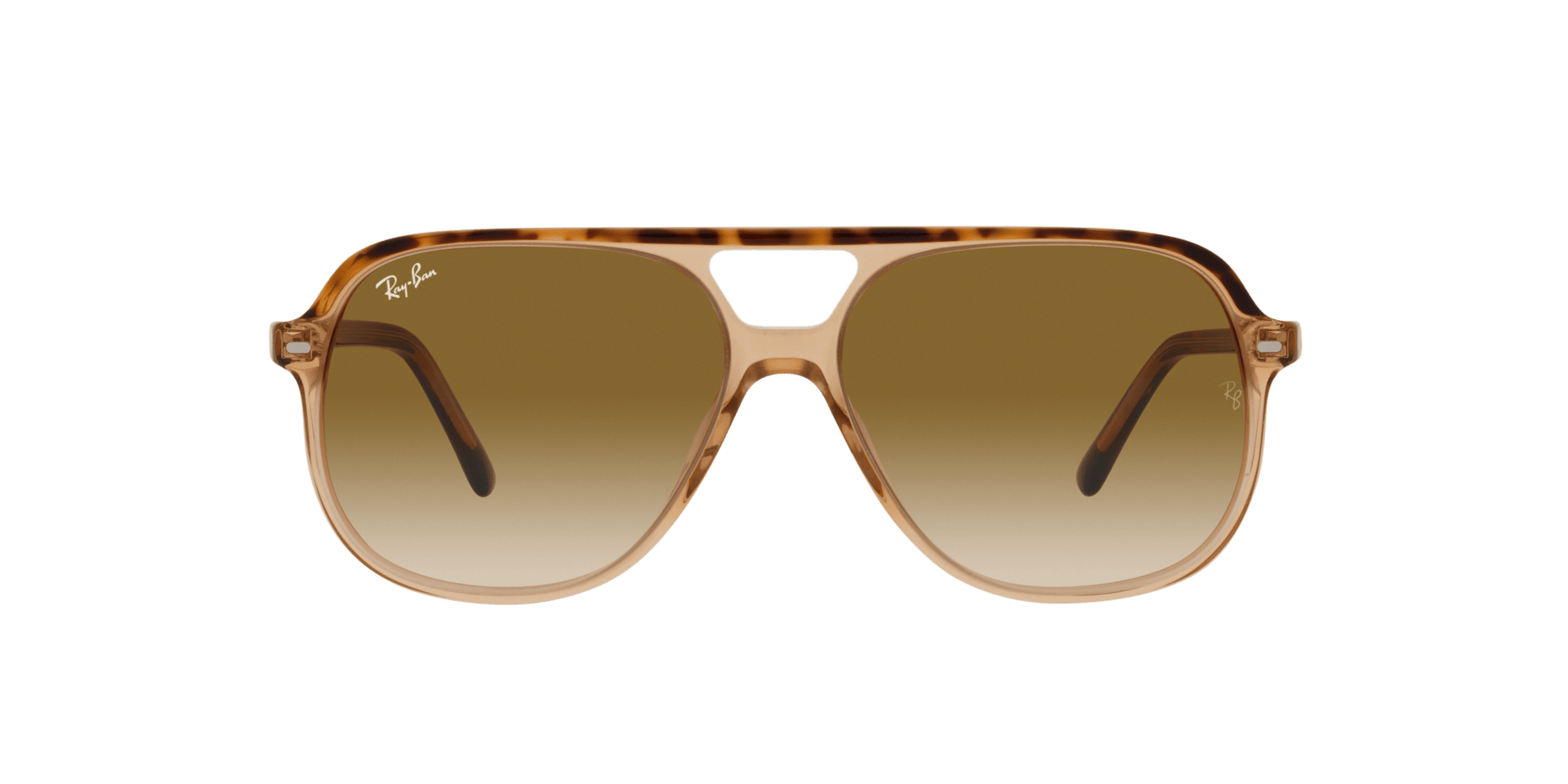 0RB2198 Acetate Unisex Sunglasses